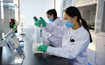 个人质量工作总结范文7篇