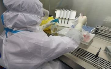 质量的总结报告通用8篇