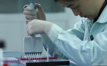 质量的总结报告7篇