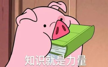 知识的心得体会精选6篇