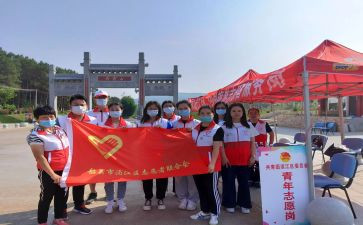 老年志愿服务活动总结5篇