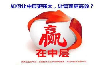 2024年中层述职报告范文8篇