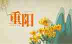 《重阳节》教案模板7篇
