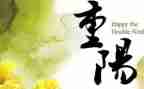 重阳节营销活动方案7篇