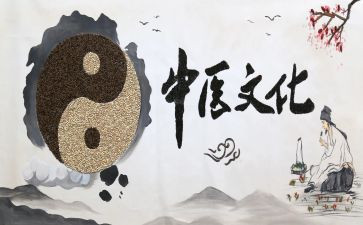 中医师工作总结5篇