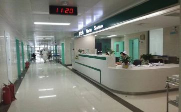 大学专科毕业自我鉴定优秀5篇