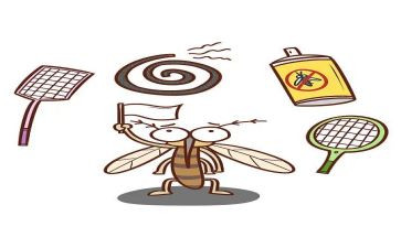抓蚊子趣事的作文5篇