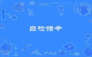 统计工作自检自查报告8篇