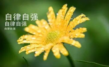 自强不息励志演讲稿6篇