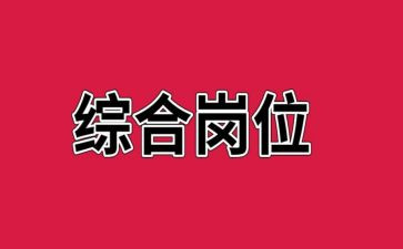 综合岗的述职报告范文6篇