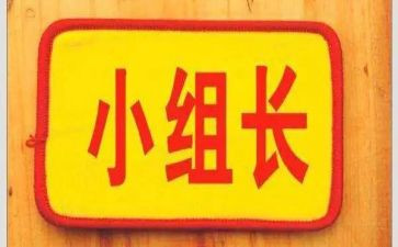 组长转正述职报告7篇
