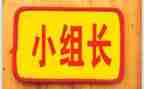 中组长心得体会推荐8篇