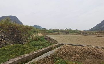 机械的租赁合同模板5篇