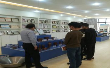 组织室工作汇报材料8篇